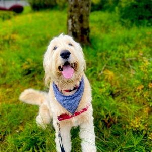 Meet your Posher, Kelli